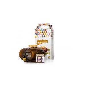  Домашняя мини-пивоварня Inpinto Standart